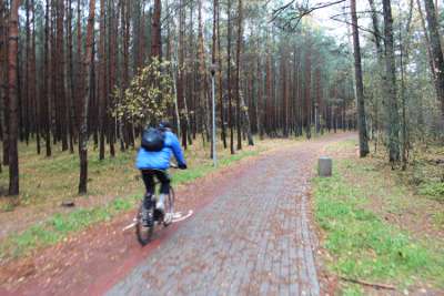 Ścieżka pieszo-rowerowa w usteckim lesie